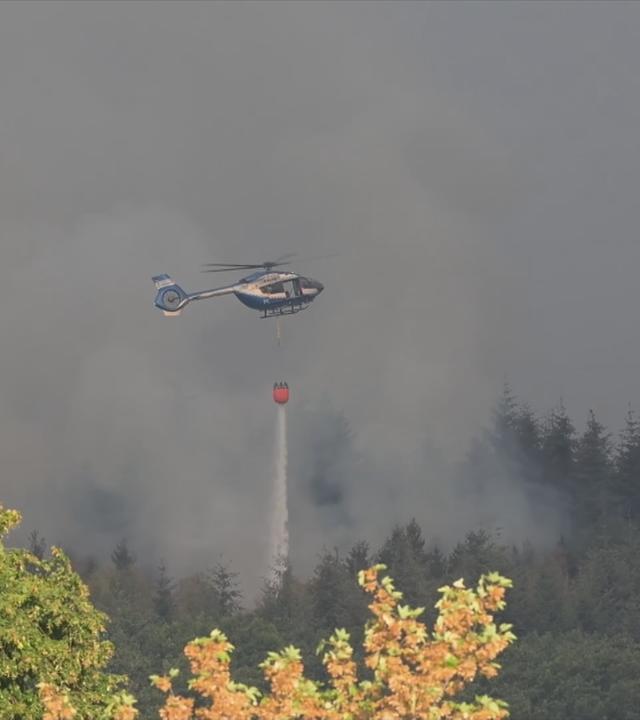 Waldbrand in der Eifel