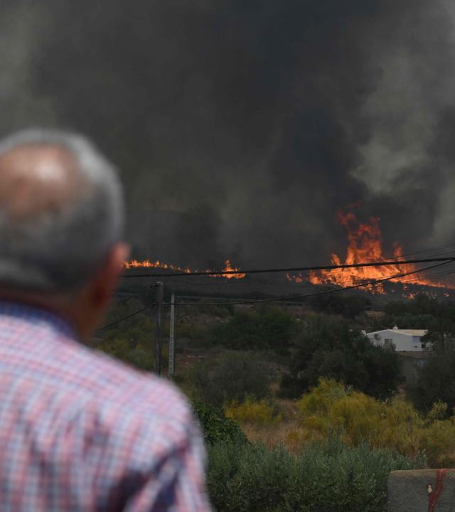 Ein Mann beobachtet die Flammen in der Nähe von Häusern im Gebiet eines Waldbrands, bei dem am 10. 07.2026 in der Nähe von Bedar, im Bezirk Los Gallardos in der Provinz Almería, elf Menschen ums Leben kamen.