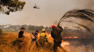 Menschen kämpfen gegen einen Waldbrand am 19.08.2025 in Portugal, nahe der spanischen Grenze.