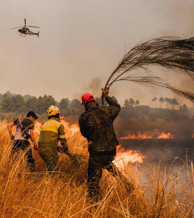 Menschen kämpfen gegen einen Waldbrand am 19.08.2025 in Portugal, nahe der spanischen Grenze.