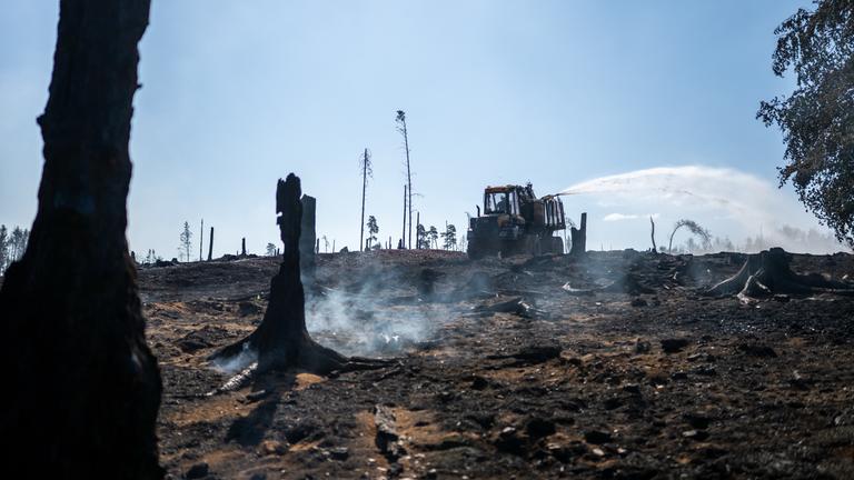 Der Firefighter des ThüringenForst, ein Waldfahrzeug mit aufgesetztem Löschtank, unterstützt die Löscharbeiten auf der Saalfelder Höhe.