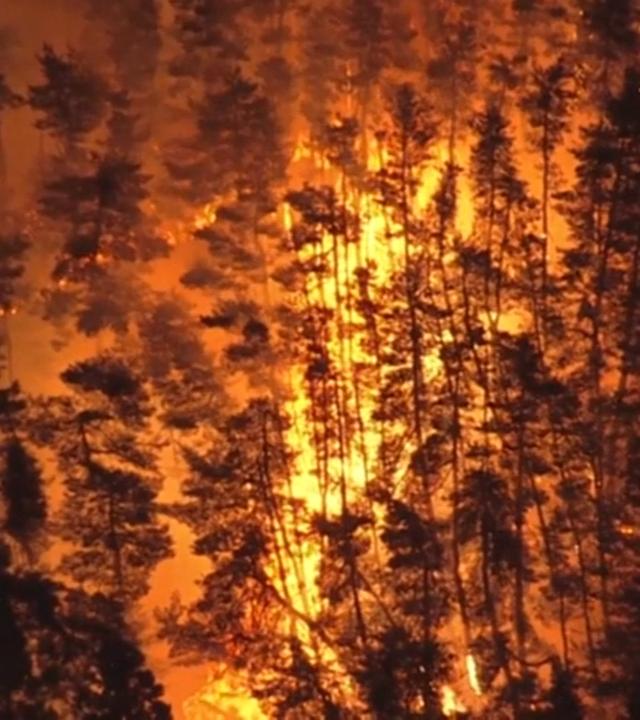 Ein großer Waldbrand in Japan.