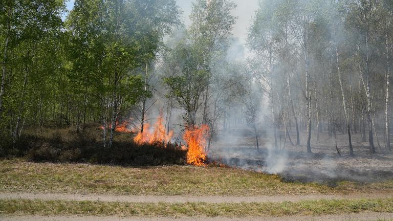 Feuer und Rauch sind in einem Waldgebiet bei Jüterbog zu sehen. Seit Freitag brennt es im Landkreis Teltow-Fläming auf einem ehemaligen Truppenübungsplatz, der mit Munition belastet ist.