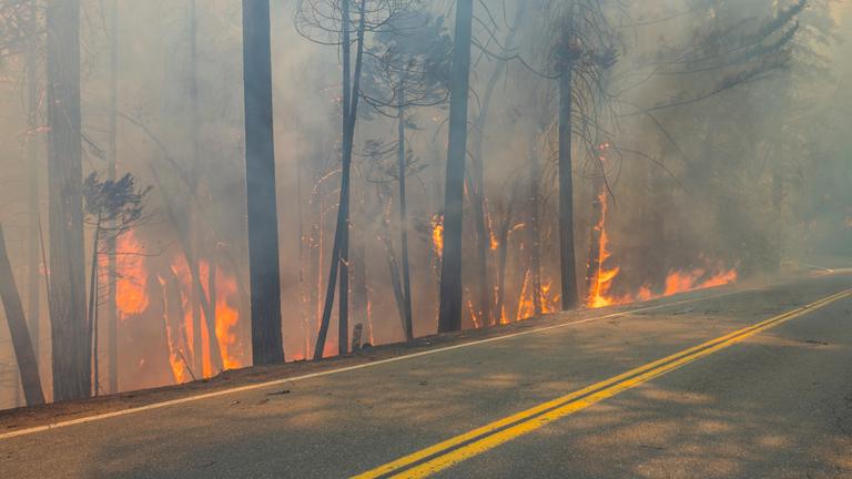 Waldbrand in Kalifornien: Das "Park"-Feuer brennt entlang des Highway 32 in der Nähe von Forest Ranch.