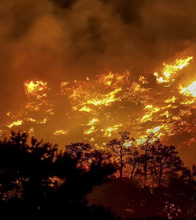 Archiv: Ein Feuer brennt in der Gegend von Ahlia in der Nähe der Hafenstadt Ierapetra an der Südküste der Insel Kreta.
