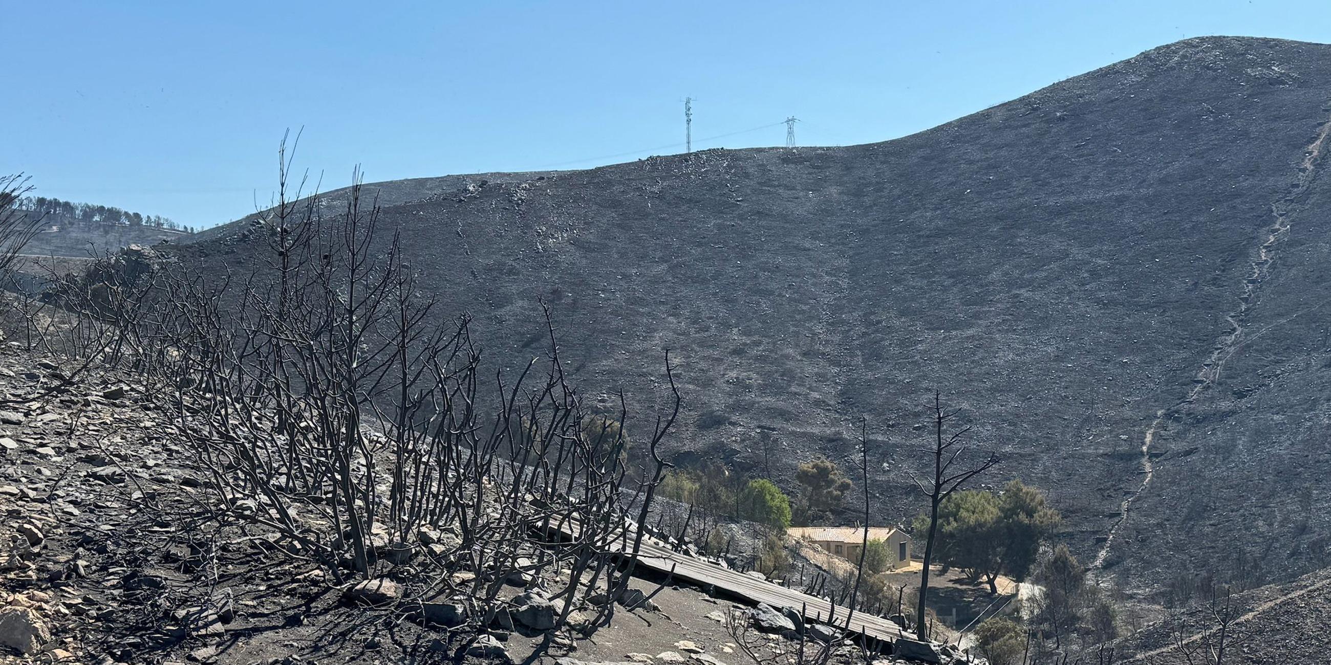 Waldbrand in Marseille