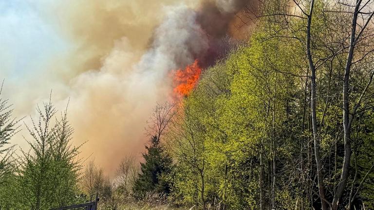 Waldbrand im niedersächsischen Badenermoor 