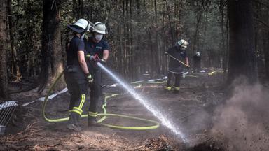 Waldbrand im Hürtgenwald