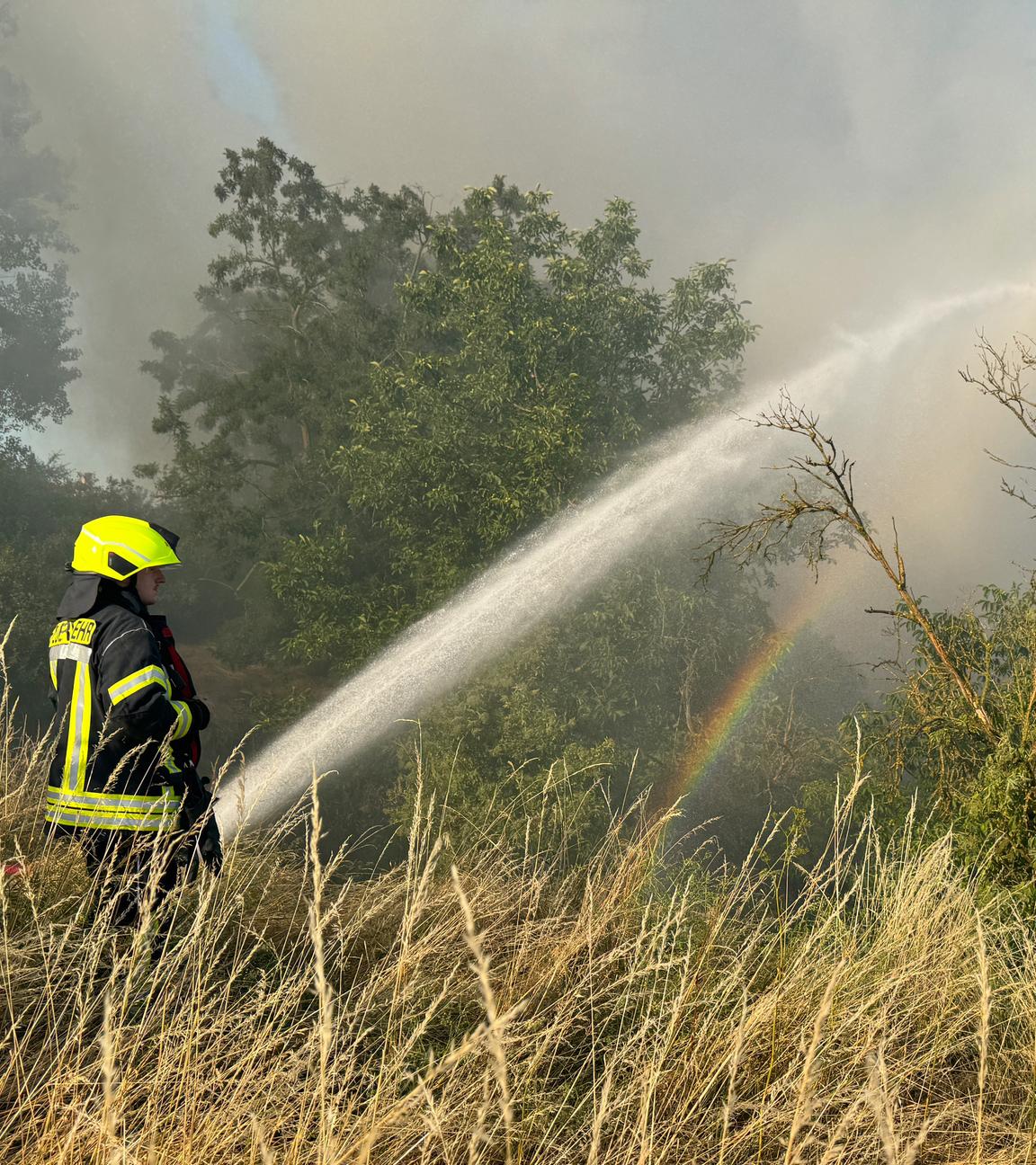 Brennende Wälder und zwei Feuerwehrmänner, die Löscharbeiten verrichten