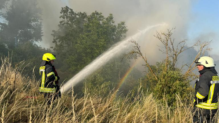 Brennende Wälder und zwei Feuerwehrmänner, die Löscharbeiten verrichten