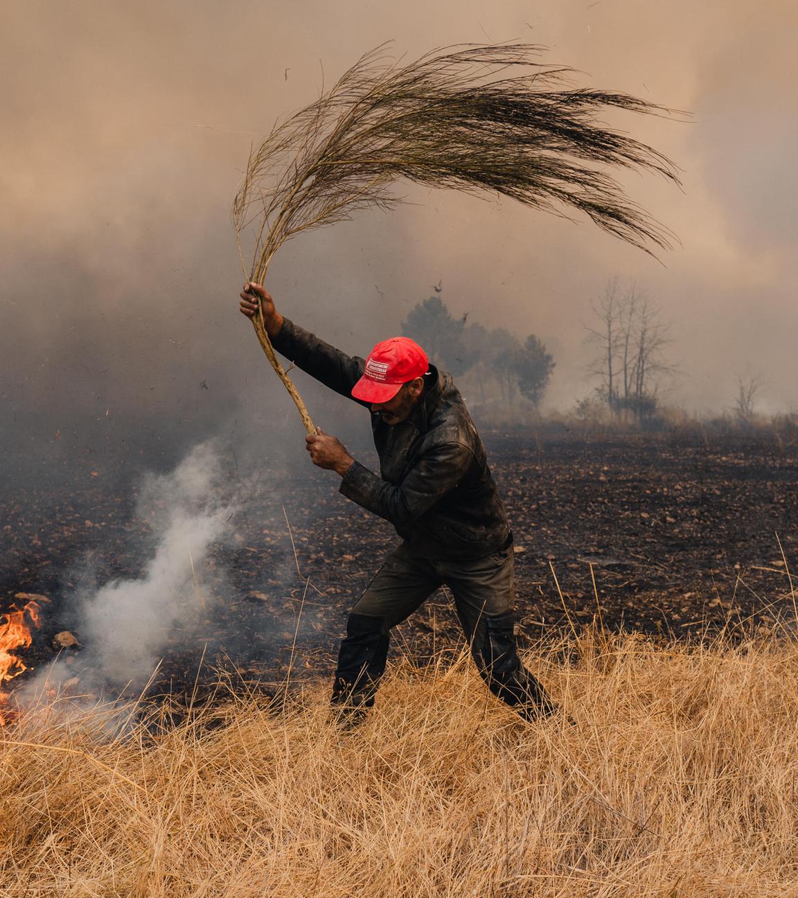 Waldbrand breitet sich in Portugal nahe der spanischen Grenze aus