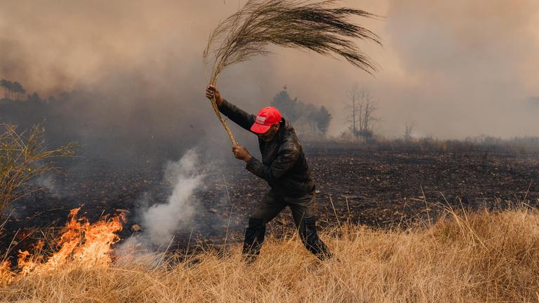 Waldbrand breitet sich in Portugal nahe der spanischen Grenze aus