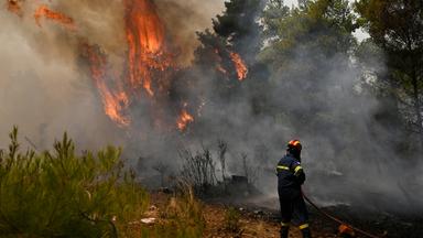 Ein Feuerwehrmann bereitet sich bei einem Waldbrand nordwestlich von Athen darauf vor, die Flammen zu löschen. 