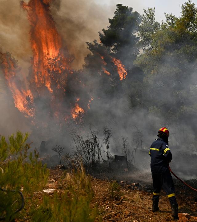 Ein Feuerwehrmann bereitet sich bei einem Waldbrand nordwestlich von Athen darauf vor, die Flammen zu löschen. 