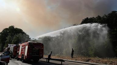 Einsatzkräfte der Feuerwehr löschen einen Waldbrand. 