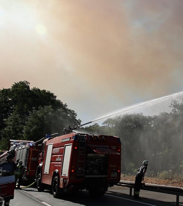 Einsatzkräfte der Feuerwehr löschen einen Waldbrand. 