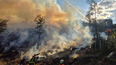 Einsatzkräfte der Feuerwehr versuchen, einen Waldbrand bei Nonnweiler zu löschen.