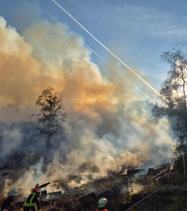 Einsatzkräfte der Feuerwehr versuchen, einen Waldbrand bei Nonnweiler zu löschen.