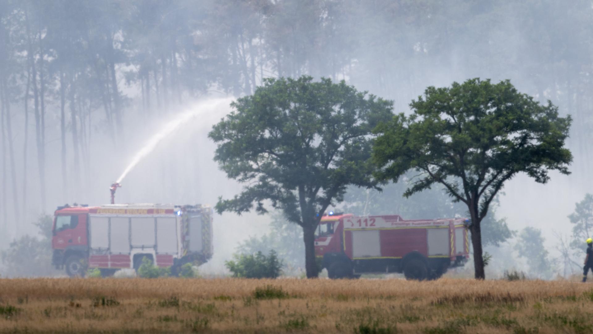 Löschfahrzeuge der Feuerwehr im Einsatz bei einem Wald und Vegetationsbrand in der Gohrischheide, Sachsen am 04.07.2025.