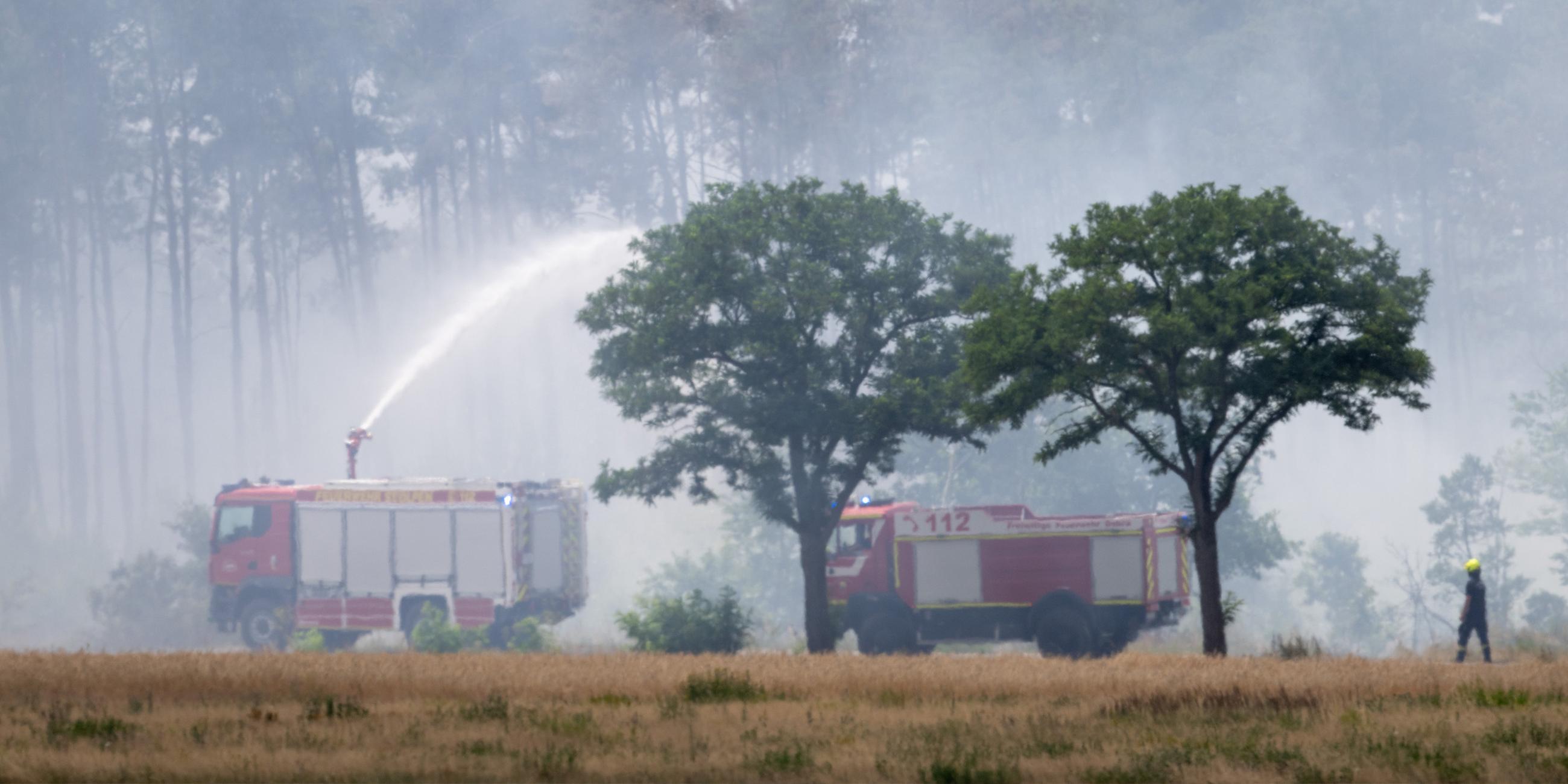 Löschfahrzeuge der Feuerwehr im Einsatz bei einem Wald und Vegetationsbrand in der Gohrischheide, Sachsen am 04.07.2025.