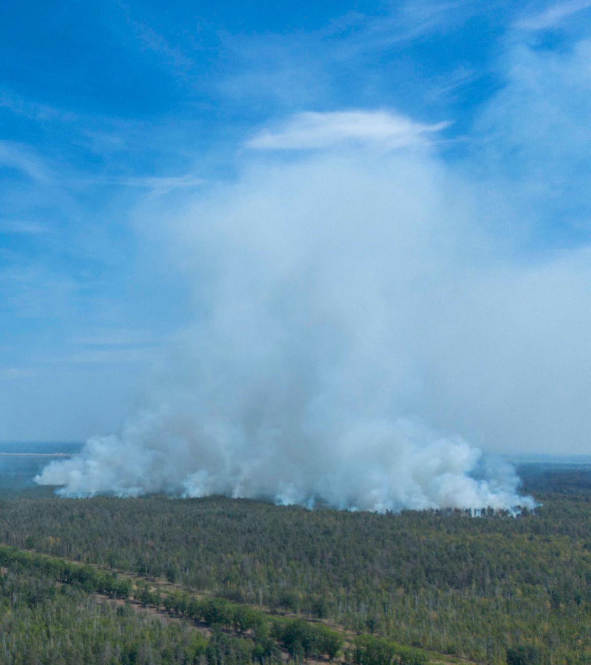 Drohnenaufnahme vom Waldbrandgebiet in der Gohrischheide in Sachsen am 05. Juli 2025.