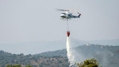 Mehrere Tote bei Waldbrand im Süden Spaniens