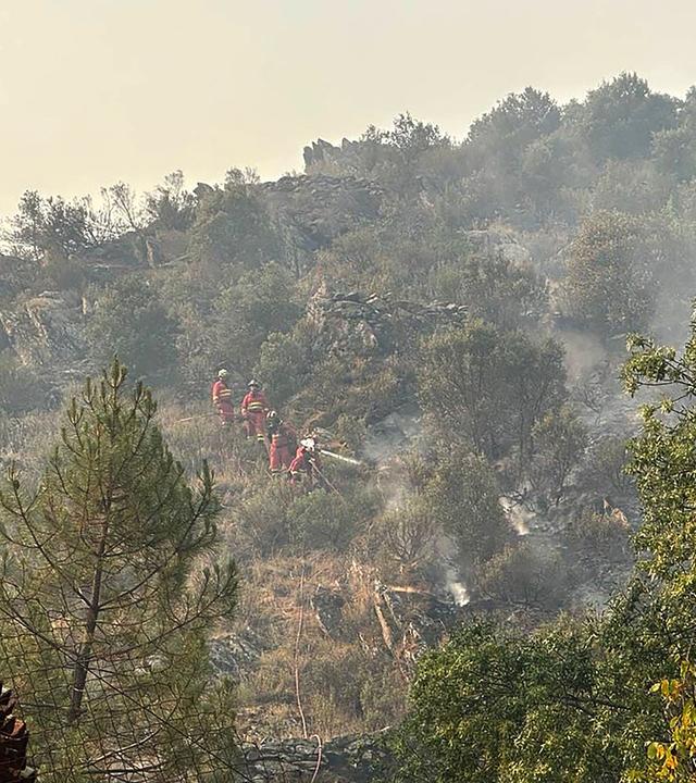 Militärkräfte bekämpfen einen großflächigen Waldbrand im Gebiet La Mierla nahe Guadalajara in Spanien.