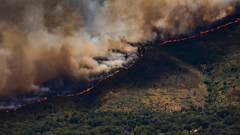 Eine Flammenwand rückt vor, während am 23. 7. 2026, ein Waldbrand in der Nähe von Burgohondo in der spanischen Provinz Ávila wütet.