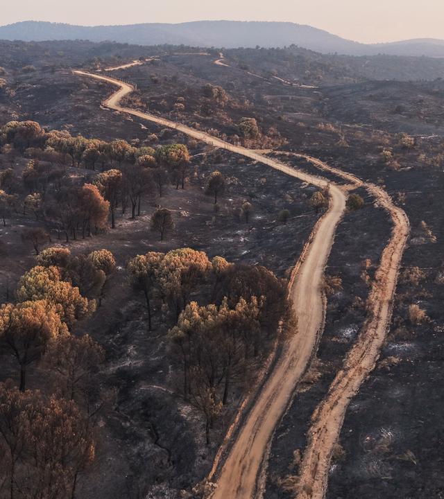 Ein Blick auf das von einem Waldbrand verwüstete Gebiet in Villa del Prado in der Provinz Madrid, Spanien