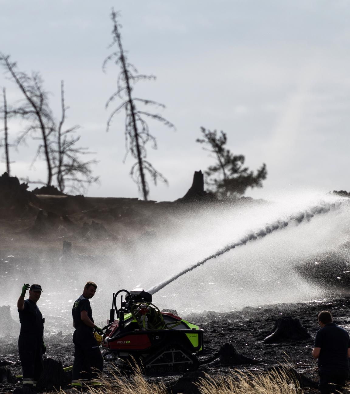 Waldbrand in Thüringen - Saalfelder Höhe