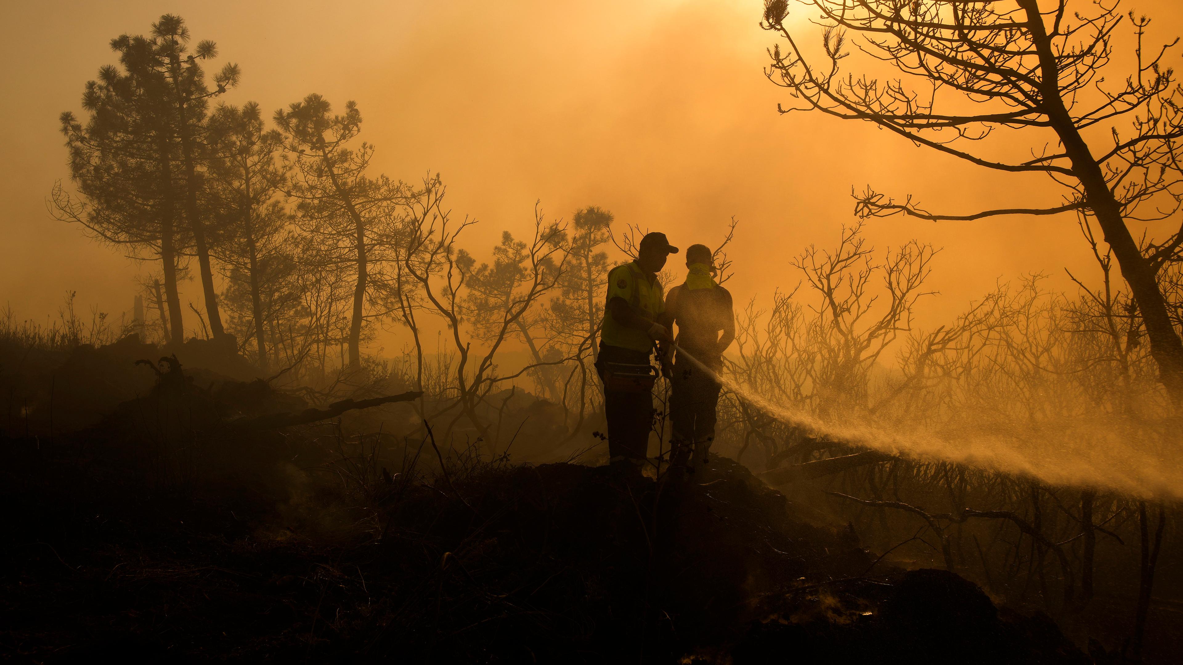 Feuerwehrleute löschen Waldbrände in einem Vorort von Istanbul, zu löschen. (26.07.2023)