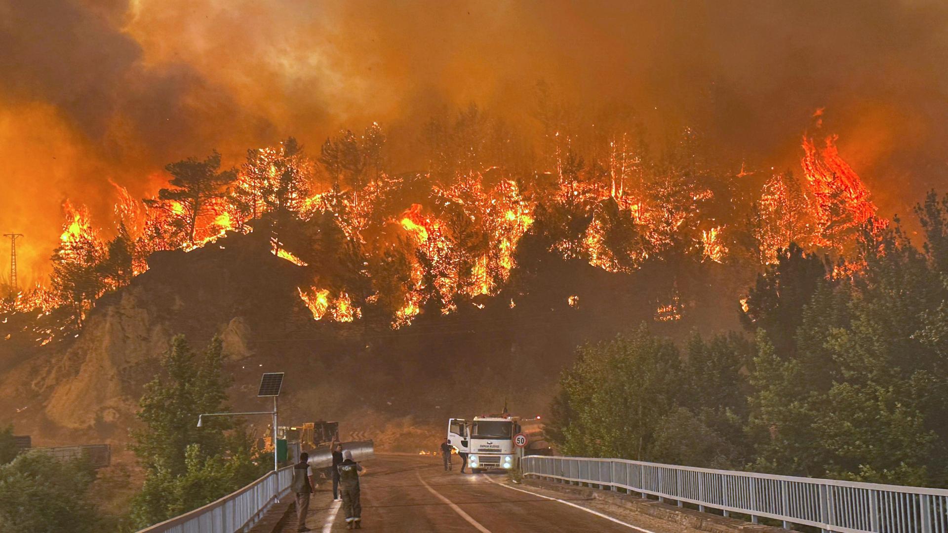Ein Waldbrand wütet in einem Waldgebiet in der Türkei.