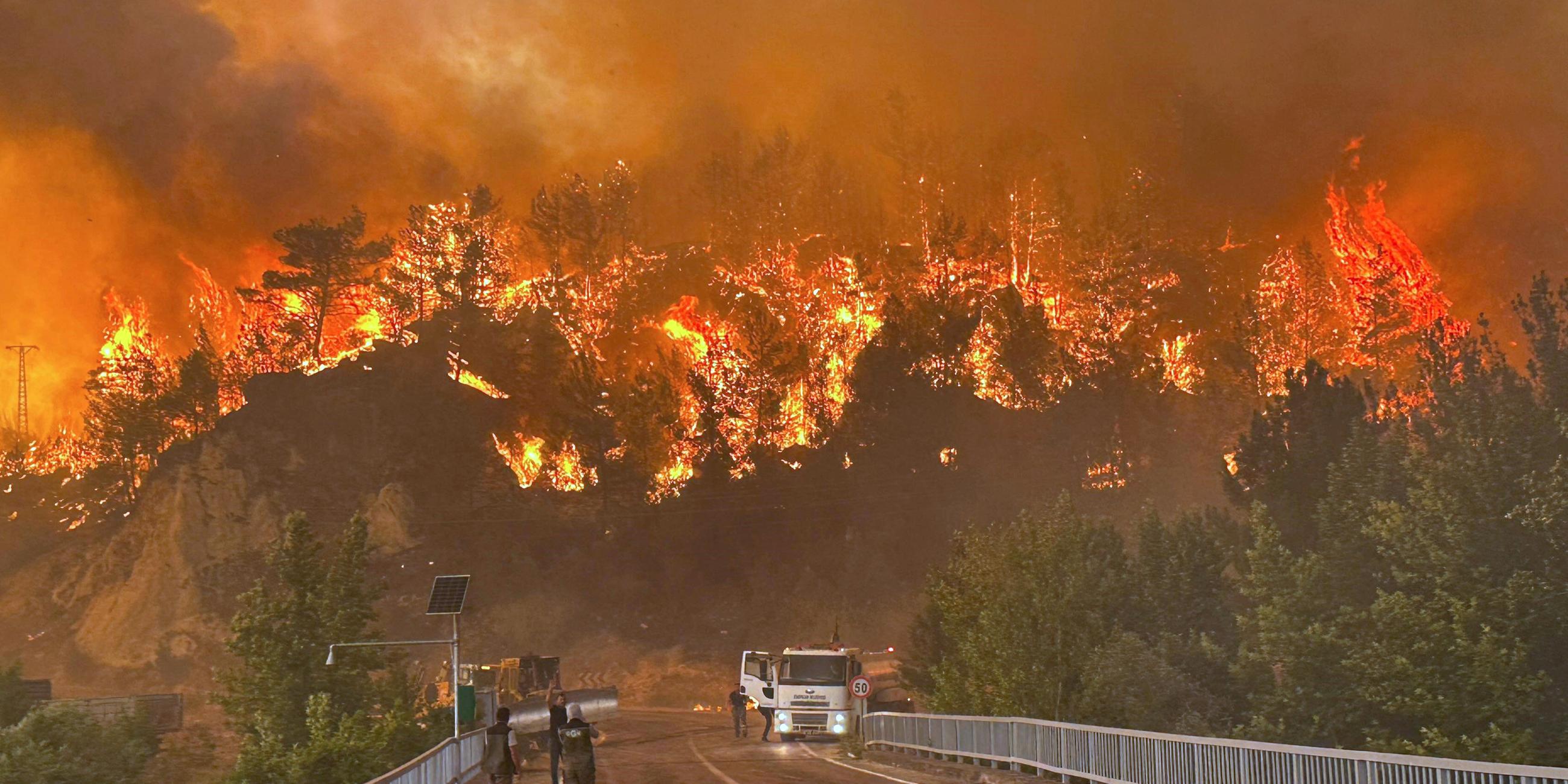 Ein Waldbrand wütet in einem Waldgebiet in der Türkei.