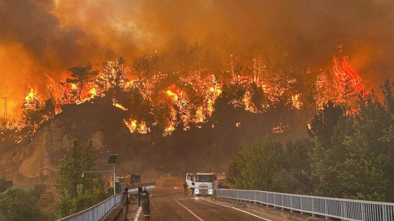 Ein Waldbrand wütet in einem Waldgebiet in der Türkei.