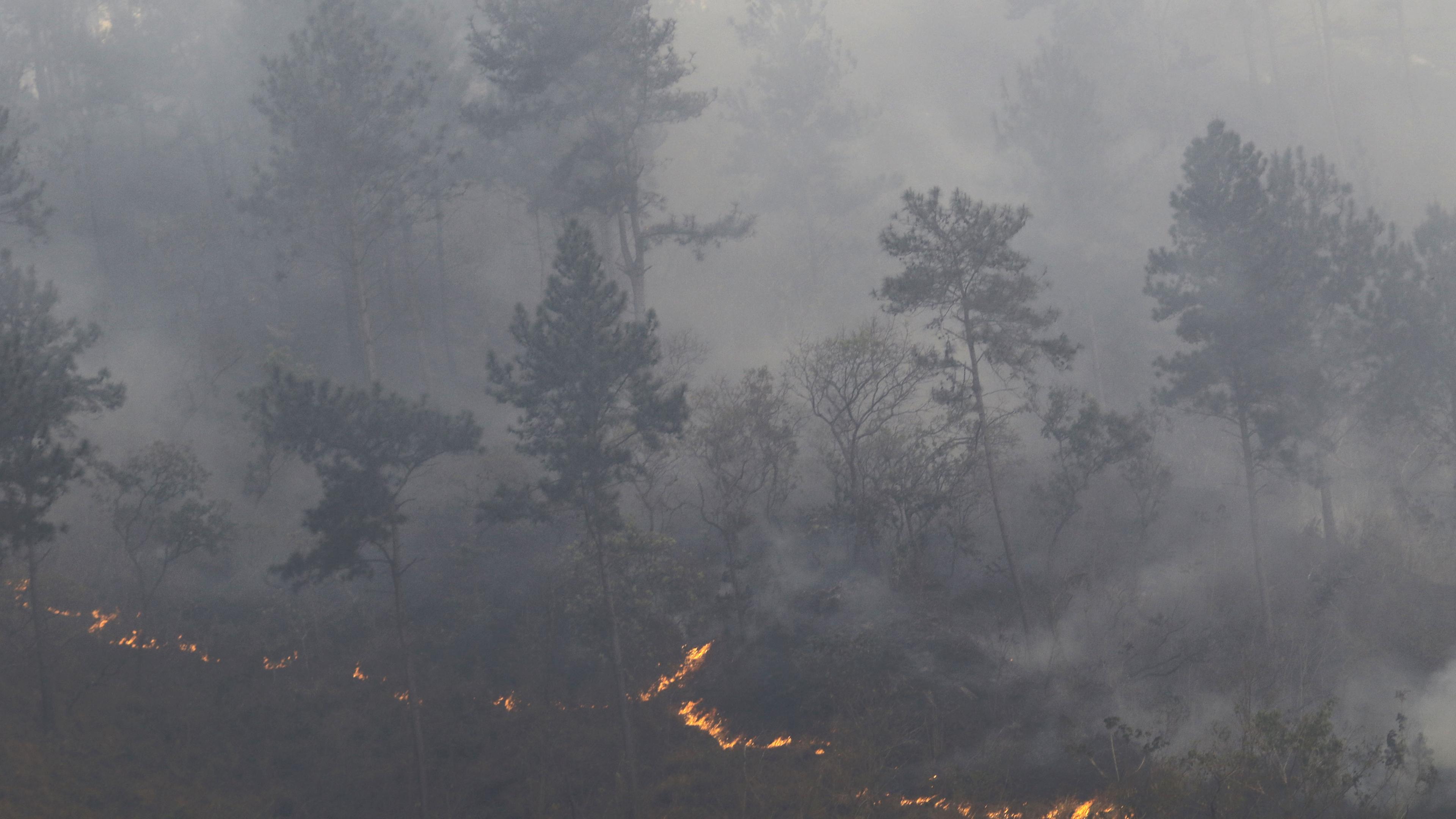 Zu sehen ist ein Waldbrand, mit dichtem Rauch und leuchtender Glut am Boden.