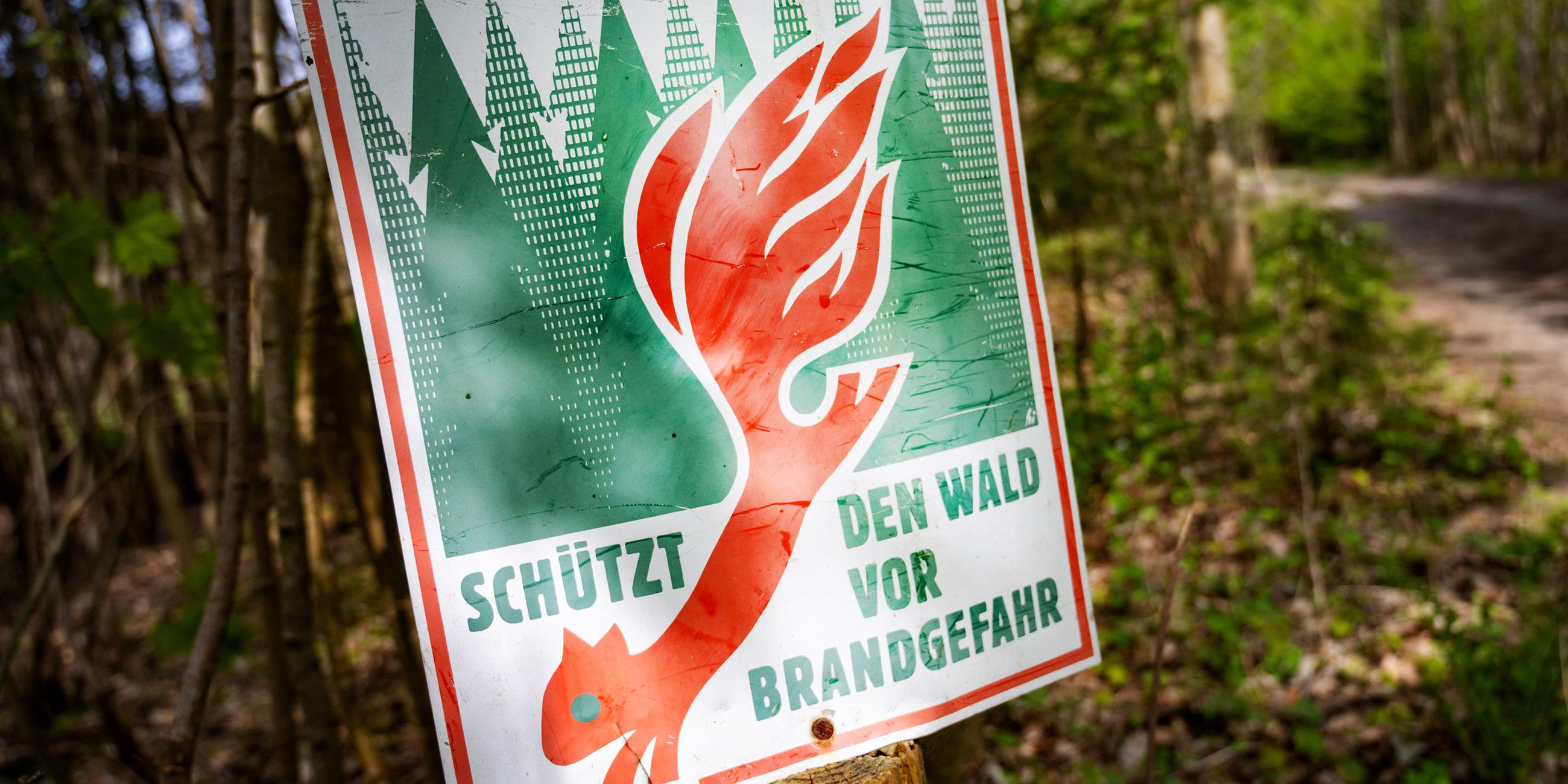 Ein Schild mit der Aufschrift "Schütz den Wald vor Brandgefahr" hängt in einem Wald an einem Waldweg. 