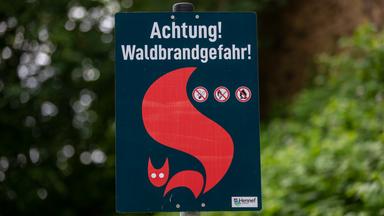 Waldbrandgefahrenschild in einem Wald