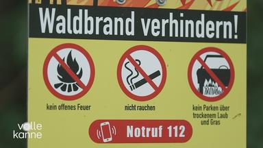 Schild mit der Aufschrift "Waldbrand verhindern"
