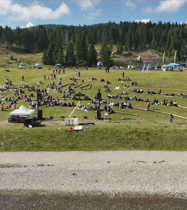 Wald wird aufgeforstet