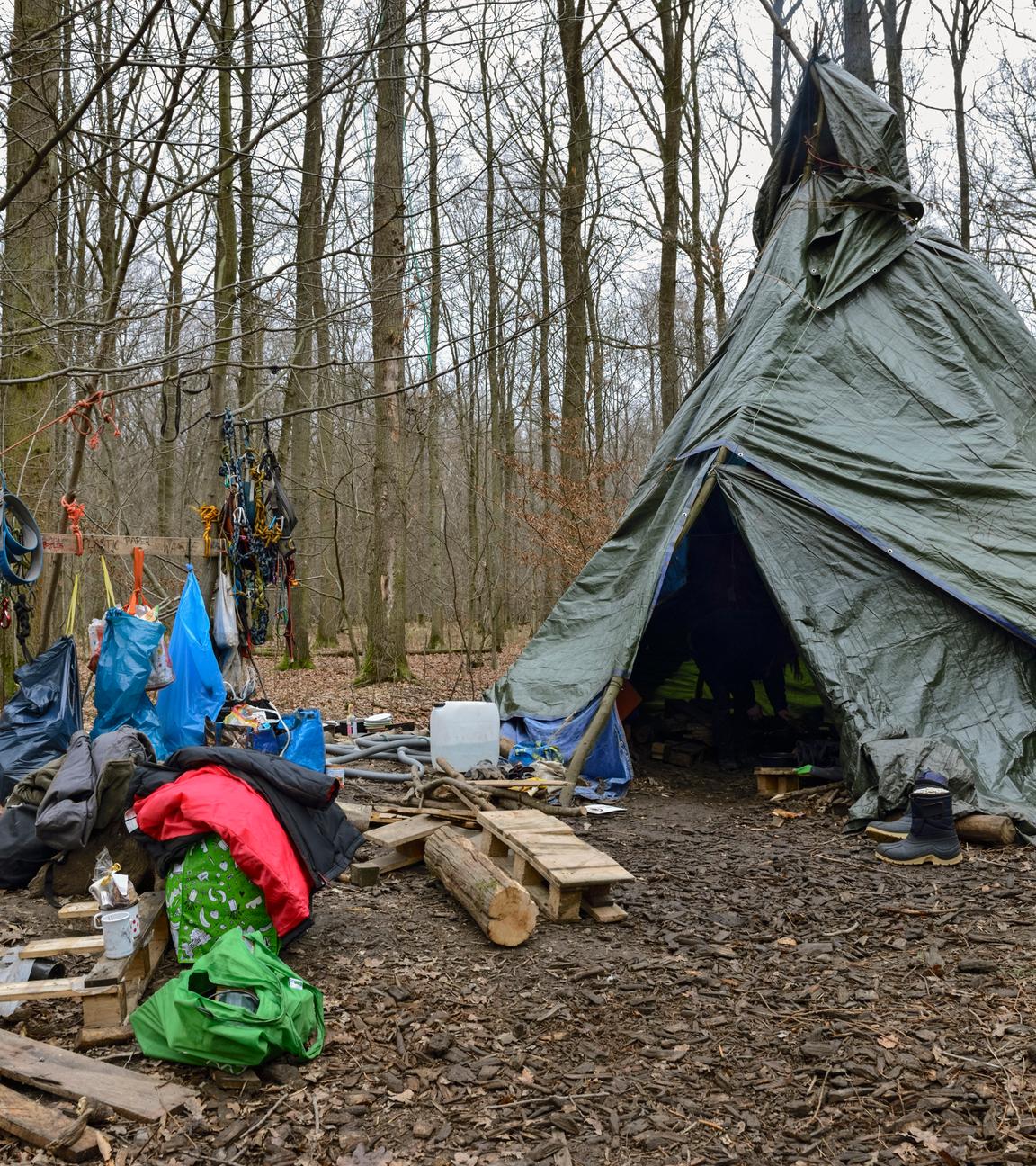 Im Wald wird gegen die Waldrodung demonstriert