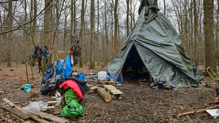 Im Wald wird gegen die Waldrodung demonstriert