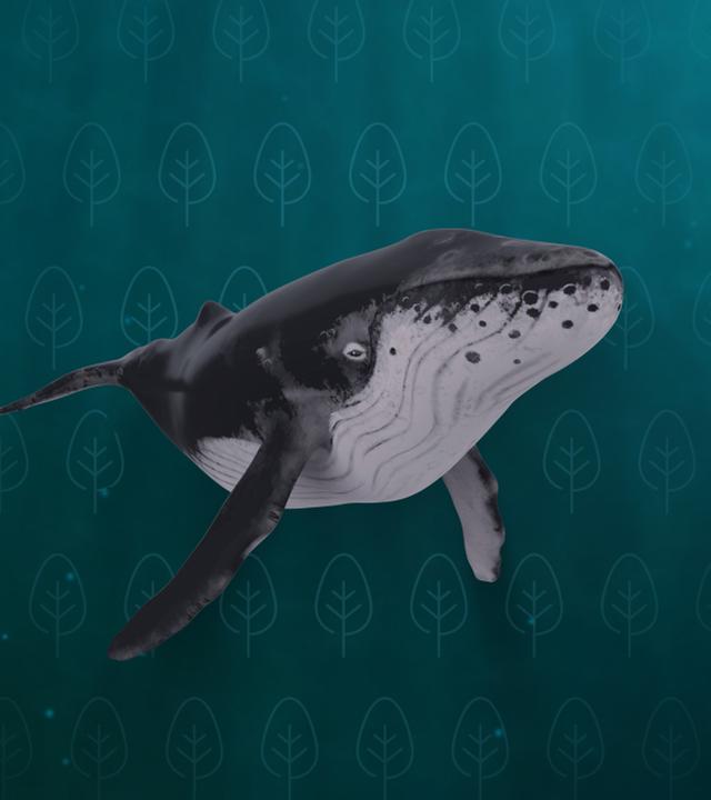 Ein gezeichneter Wal schwimmt im Meer