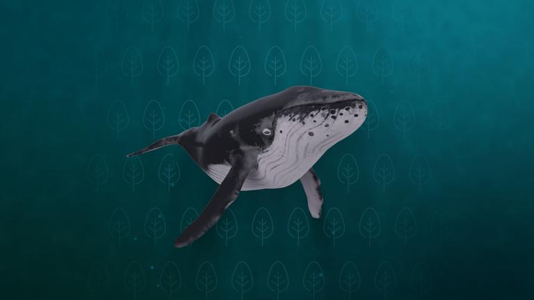 Ein gezeichneter Wal schwimmt im Meer