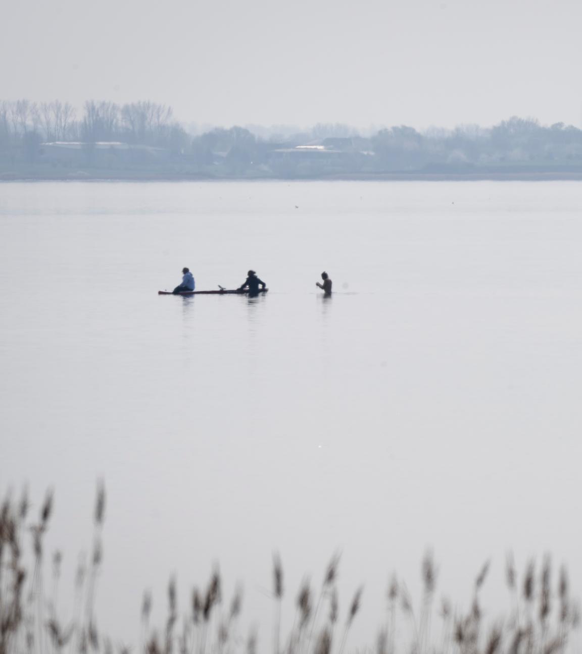 Mecklenburg-Vorpommern, Poel: Helfer nähern sich dem gestrandeten Wal.