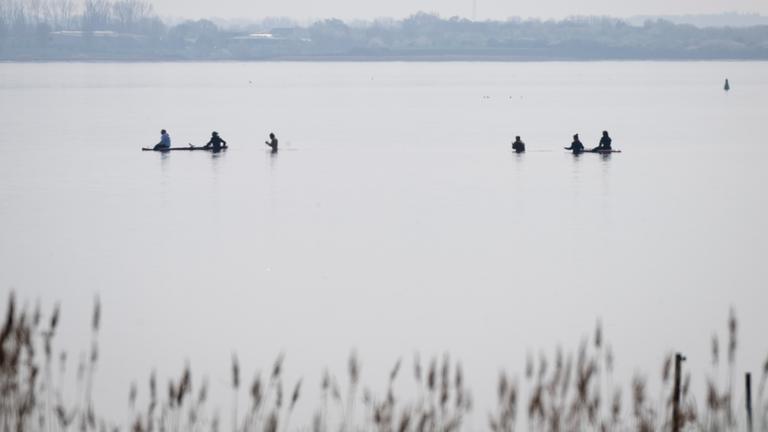Mecklenburg-Vorpommern, Poel: Helfer nähern sich dem gestrandeten Wal.