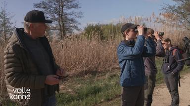 Birdwatching: Eine Gruppe von Jugendlichen beobachtet Vögel durch Ferngläser.