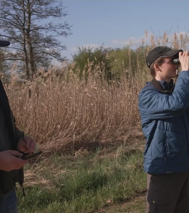Birdwatching: Eine Gruppe von Jugendlichen beobachtet Vögel durch Ferngläser.