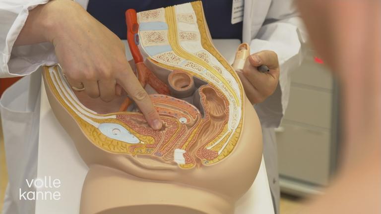 Ärztin zeigt auf Modell der Gebärmutter