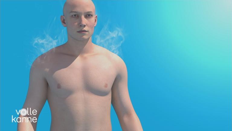 Was Hitze mit dem Körper macht