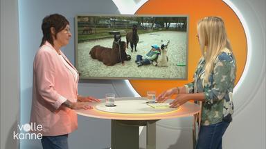 Diplom-Sozialarbeiterin Dorothea Dapper im Geaspräch mit Nadine Krüger. Im Hintergrund ein Bild mit Lamas.